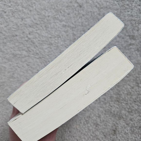 2 Book Bundle by Sarah Dessen - Someone‎ Like You & Lock and Key - Paperback - Picture 4 of 11